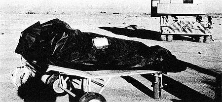 Air Force photo of a test dummy in an insulation bag